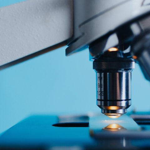 Zdjęcie: CRISPR-Cas9: nożyczki genomu wyjaśnione krok po kroku