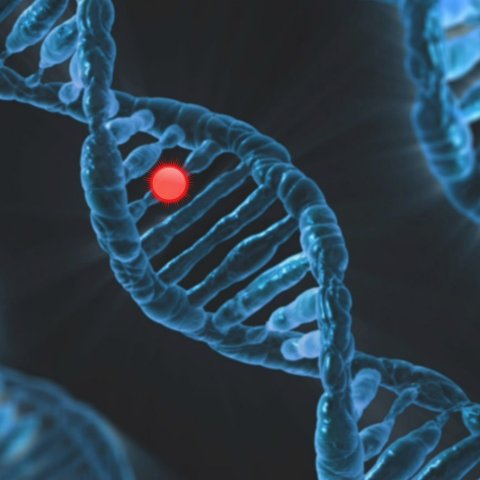Zdjęcie: Casgevy — pierwsza zatwierdzona terapia CRISPR i co leczy