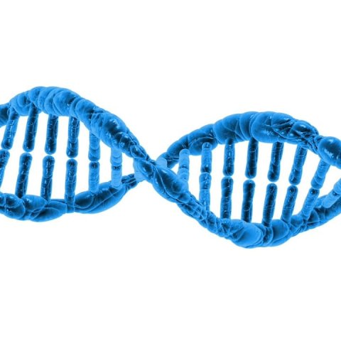 Zdjęcie: Biologia syntetyczna — projektowanie organizmów od podstaw w 2026 roku