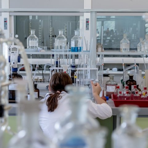 Zdjęcie: Rapamycyna na starość — co mówi przegląd badań w 2026?
