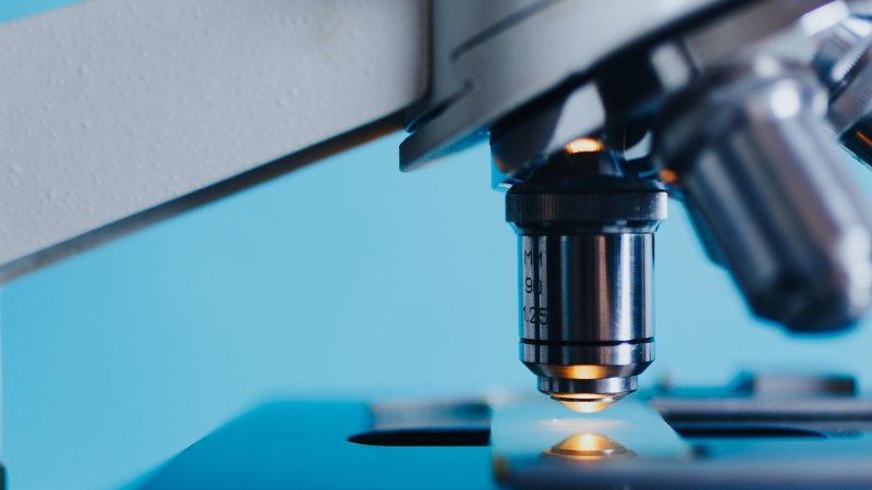 Zdjęcie: CRISPR-Cas9: nożyczki genomu wyjaśnione krok po kroku