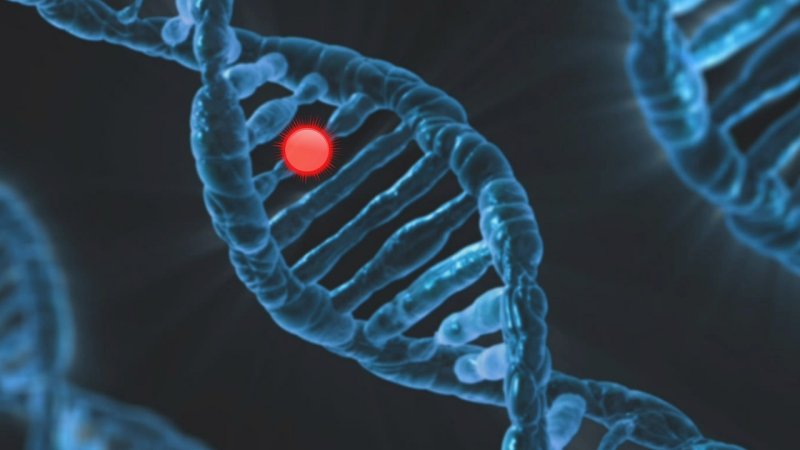 Zdjęcie: Casgevy — pierwsza zatwierdzona terapia CRISPR i co leczy