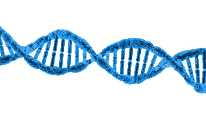 Zdjęcie: Biologia syntetyczna — projektowanie organizmów od podstaw w 2026 roku