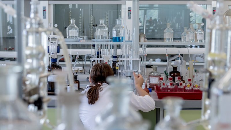 Zdjęcie: Rapamycyna na starość — co mówi przegląd badań w 2026?