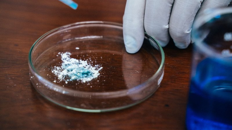 Zdjęcie: Bryan Johnson i Blueprint: eksperyment na sobie pod lupą nauki